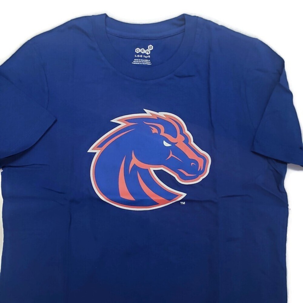 NCAA Youth Boys L 14/16 Boise State Broncos Team Logo Short Sleeve T-Shirt Royal